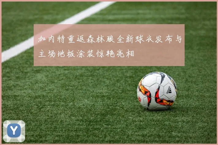 加内特重返森林狼全新球衣发布与主场地板涂装惊艳亮相